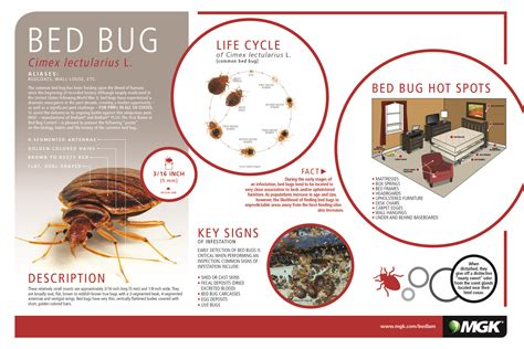 Printable Bed Bug Information