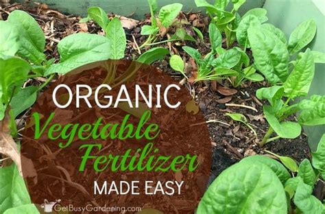 Organic or natural fertilizers are created using composted or dried organic matter such as cow manure, concentrated compost, crop residue, earthworm castings, seaweed, seed meal, and animal sources. The Best Organic Fertilizer For Vegetable Gardening ...