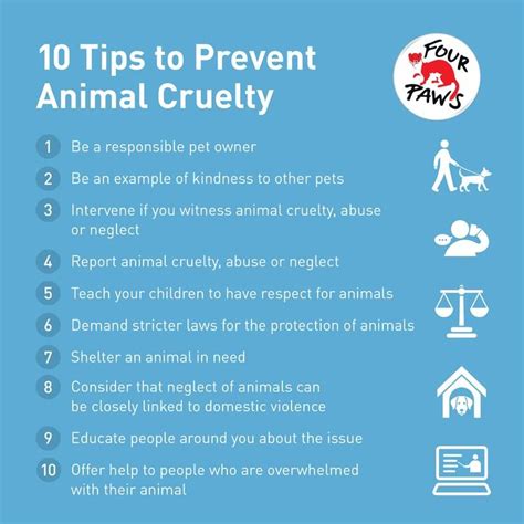 Ca Guide En Preventing Animal Cruelty Infographic Basic Design