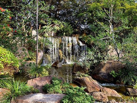 7 Gorgeous Secret Waterfalls In Florida With Photos Trips To Discover
