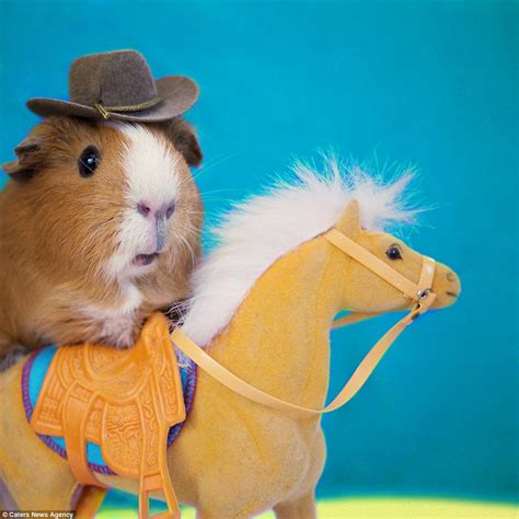 The Adorable Costumes Given To Animals On Dress Up Your