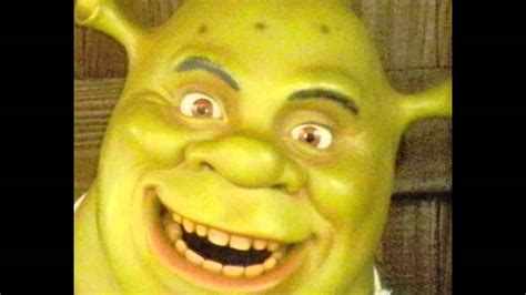 Shrek Stares Into Your Soul Youtube
