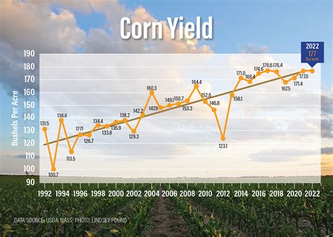 Corn Yield Shocker USDA Drops National Yield To 177 The Scoop