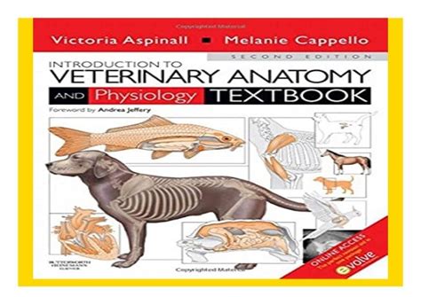 Introduction To Veterinary Anatomy And Physiology Textbook Book 494