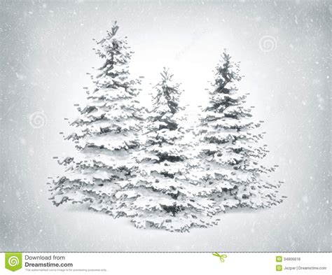 Christmas Trees And Snow Royalty Free Stock Photos Image
