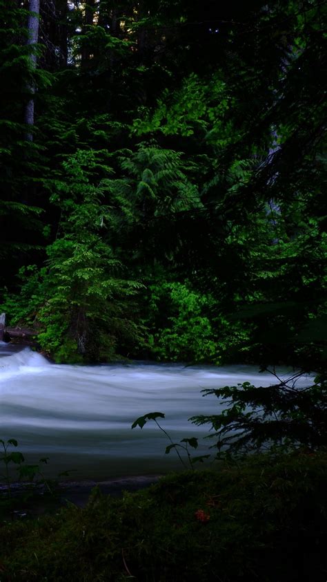 River Cascade Trees Dark Background Stream Forest Nature 4k Hd