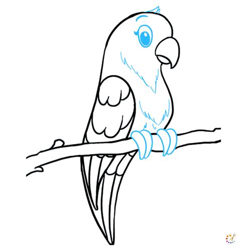 How To Draw A Parrot Bird Lover