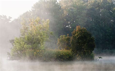 21 Smart Uses Of Fog To Create Atmospheric Photos Light Stalking