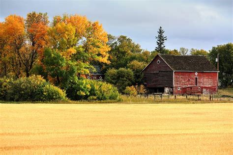 Autumn Barn Photograph By David Matthews Fine Art America