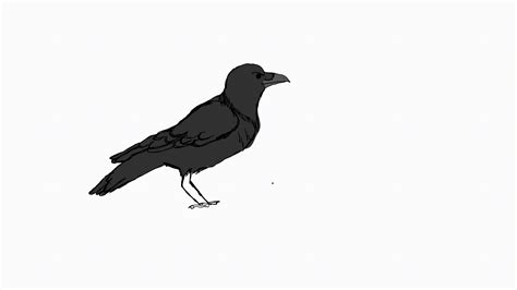 Flying Crow Animation Album On Imgur