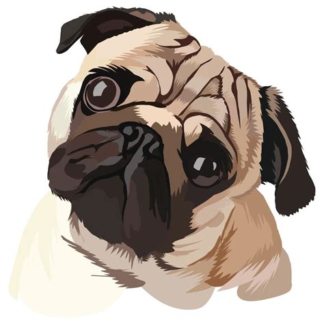 Cute Pug Dog Cartoon Vector Illustration 14401046 Vector Art At Vecteezy