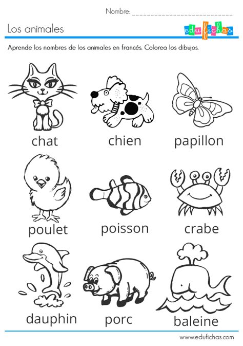 Nombres De Animales En Francés Fichas Infantiles Aprender Idiomas