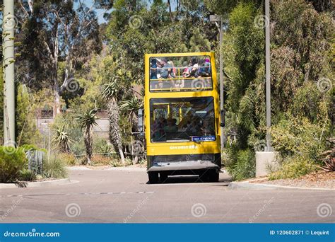 Yellow Double Deck Tour Bus Takes Tourists Around The San Diego Zoo