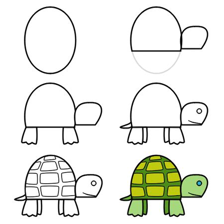 Do you want a step by step lesson especially for kids? How to draw a turtle