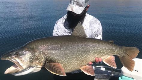 Fisherman Catches State Record Lake Trout From Flaming Gorge