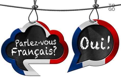 Rapport Tout Savoir Sur La Langue Française Dans Le Monde