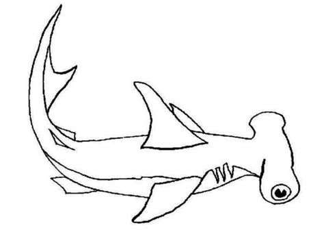 Maybe you would like to learn more about one of these? Hammerhead Shark Coloring Page at GetColorings.com | Free ...