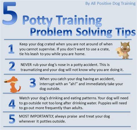 Using these potty training charts have helped me recognize my pups patterns and within just a week of using them we've gone from as many as 8 accidents in the house a day. %post-title% | Poos and Doodles