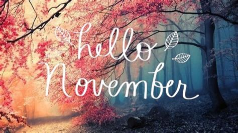 Goodbye October Hello November Books Forget Me Knot