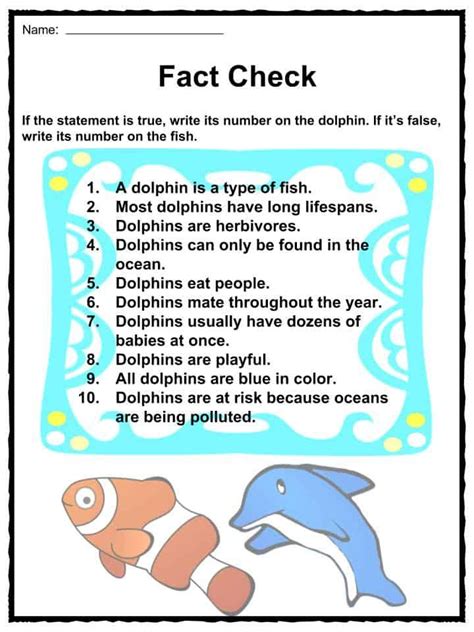 Dolphin Facts Worksheets Species And Habitat For Kids Dolphin Facts