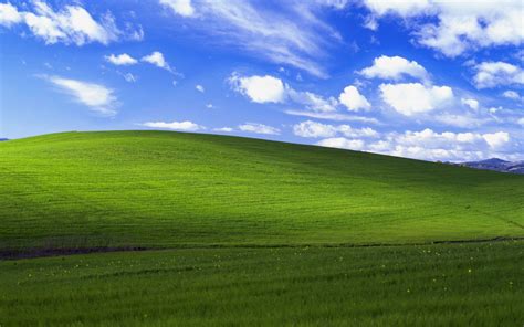 Gallery For Funny Windows Xp Bliss Wallpaper