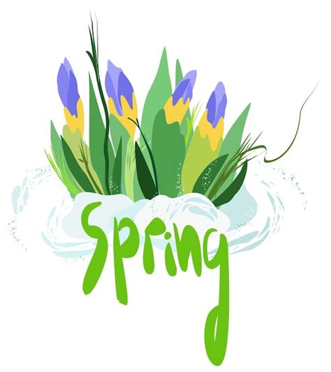 Premium Vector Vector Isolated Illustration Of Snowdrops Spring