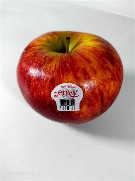 Apel Envy High Grade Nz Ovegi