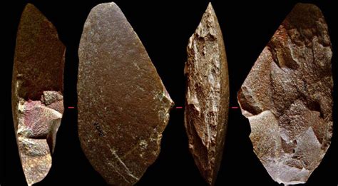 Neanderthal Tools And Weapons Tools Like This One Suggest The
