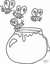 Honey Coloring Pot Ukrainian Ukraine Jar Printable Apple sketch template