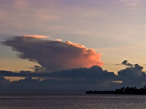 Madang Ples Bilong Mi Blog Archive Flying Foxes In The Morning Light