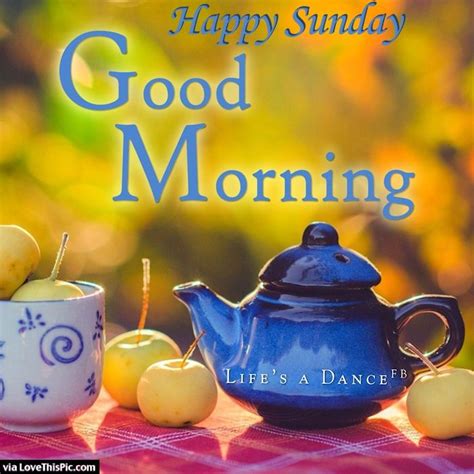 Happy Sunday Good Morning Pictures Photos And Images For