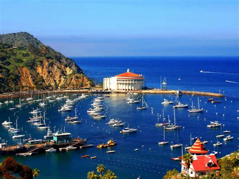 Catalina Island Wallpapers Top Free Catalina Island Backgrounds