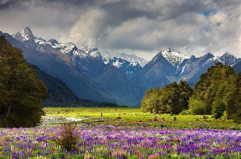 Beautiful Valley By Dmitry Pichugin On 500px New Zealand Tours