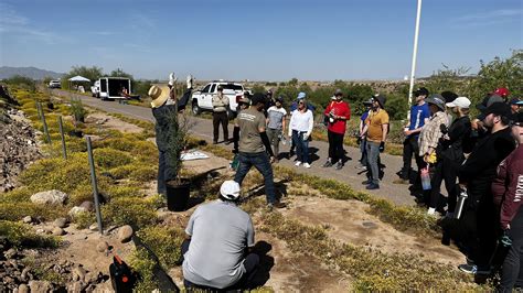 Arizona Urban Forestry Program Receives 6 Million Increase Tree Coverage