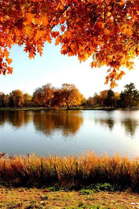 4009 Best Autumn Images On Pinterest Autumn Leaves