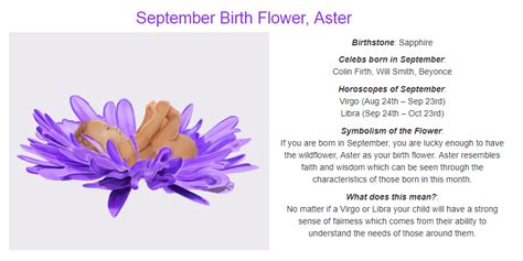 September Birth Flower With Meaning Aster Flower Tattoos Aster