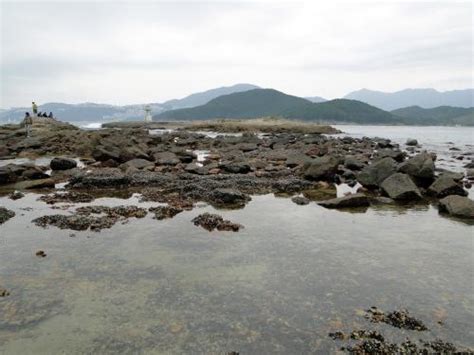 Lewd island apk download presents: Kiu Tau - Tombolo from Sharp Island - HK National Geopark | Visions of Travel