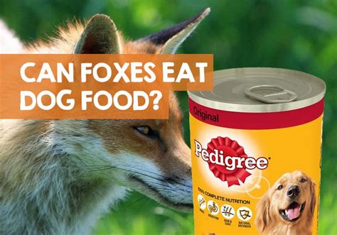 This combined with real chunks of meat and veggies makes wet food more palatable to your pup. Can Foxes Eat Dog Food? (Wet, Dry, Biscuits or Treats)