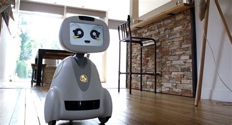 Companion Robots The Future Is Now Constructor