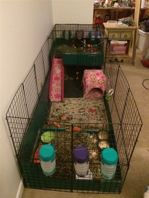 Pin By Geosmom On Rabbit Cage Rabbit Cage Bunny Cages Indoor Rabbit