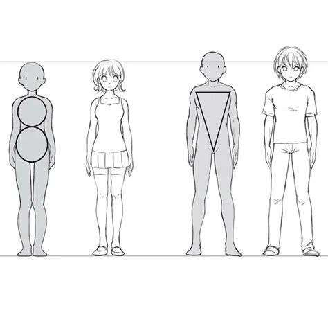Male Anatomy Drawing Anime Male Body Skinny Muscular