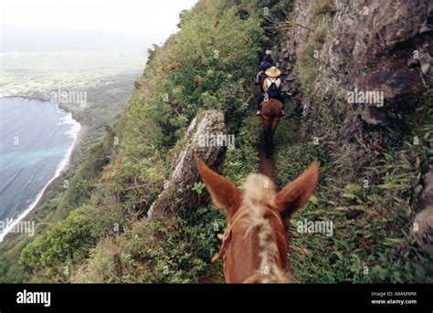 Usa Hawaii Molokai Mule Ride To Kalaupapa National Historical Park