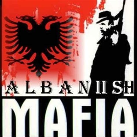 The albanian mafia (am) or albanian organized crime (aoc) are the general terms used for various criminal organizations based in albania or composed of ethnic albanians. Albanian Mafia Bosses in the World - Oculus News English