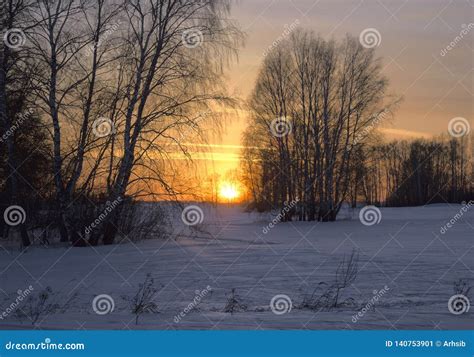 Winter Sunset With Tree Silhouettes 4 Stock Image Image Of Winter