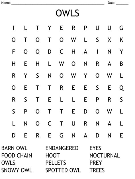 Owl Homework Word Search Wordmint