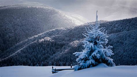 Beautiful Winter Scenary True Romania