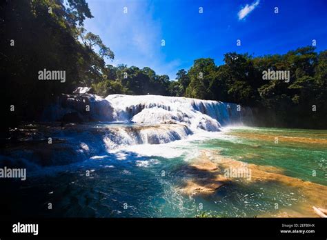 Waterfall In A Forest Agua Azul Waterfalls Chiapas Mexico Stock