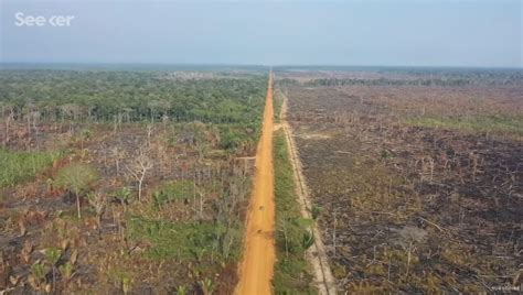 Deforestation ‘amazon Rainforest Becoming A Savannah In 15 Yrs