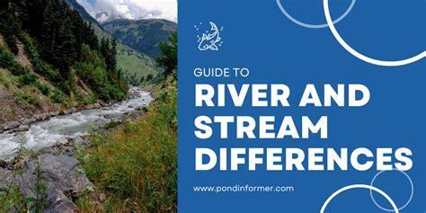 Difference Between Rivers And Streams Surprising Facts Pond Informer