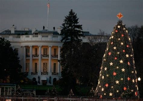 White House Christmas Tree Outdoor Christmas Tree Christmas Tree